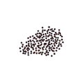 Dried poppy black poppy seeds. Any seeds, grains, Popie. Vector illustration. Papaveroideae