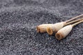 Dried poppy pods on seeds, closeup Royalty Free Stock Photo