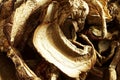 Dried porcini mushrooms. Macro image