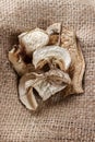 dried porcini mushrooms on sackcloth. Top view Royalty Free Stock Photo