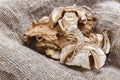 dried porcini mushrooms on sackcloth. Top view Royalty Free Stock Photo