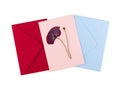 A dried pressed flower on red postcard and blue and pink envelopes. Handmade greeting card in oshibana technique.