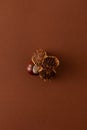 Dried prickly chestnut on brown background. Autumn nature concept