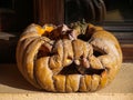 Dried pumpkin for Halloween