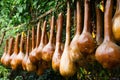 Dried pumpkin peculiar form suspended on the frame, Malaysia