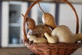 still life, dried pumpkins, wicker basket