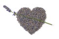 Dried purple lavender flowers close up in heartshape on white background