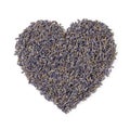 Dried purple lavender flowers close up in heartshape on white background