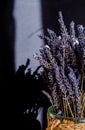 Dried purple lavender flowers on black background, Mockup for positive idea. copy space. Royalty Free Stock Photo