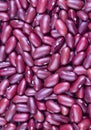 Dried red bean, kidney bean on the white background Royalty Free Stock Photo