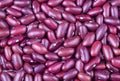 Dried red bean, kidney bean on the white background. Royalty Free Stock Photo