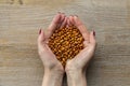 Dried red beans in female hands. In the background a wooden background. Top view Royalty Free Stock Photo