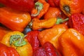 Dried Red Bell Peppers