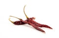 Dried red chili or chilli cayenne pepper isolated on white background Royalty Free Stock Photo