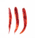 Dried red chili or chilli cayenne pepper isolated on white background.Clipping path Royalty Free Stock Photo