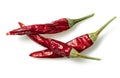 Dried red chili or chilli cayenne pepper isolated on white background cutout Royalty Free Stock Photo