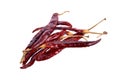 Dried red chili isolated on white background Royalty Free Stock Photo