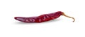 Dried red chili isolated on white background Royalty Free Stock Photo