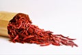 Dried red chili peppers. stock photo