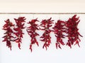 Dried red chili peppers hanging on a white wall Royalty Free Stock Photo