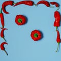 Dried red chili peppers lie on a multi-colored background