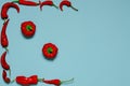 Dried red chili peppers lie on a multi-colored background Royalty Free Stock Photo