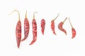 Dried red chili on white background. Clipping path included Royalty Free Stock Photo