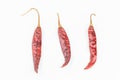 Dried red chili on white background. Clipping path included Royalty Free Stock Photo
