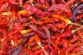 Dried red chilies pattern Royalty Free Stock Photo