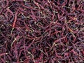 Dried Red Chilies Top View, Lavangi, Dry Red Chilli, Red Mirchi Royalty Free Stock Photo