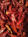 dried red chillies as a food background Royalty Free Stock Photo