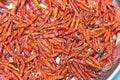 Dried red chilli Royalty Free Stock Photo