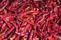 Dried red chilli, food ingredient. Red dry chilli texture background Royalty Free Stock Photo