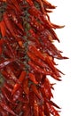 Dried Red Chilli Royalty Free Stock Photo