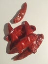 Dried red chilli isolated on a white background Royalty Free Stock Photo