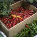 Dried red chilli PEPPER in box Royalty Free Stock Photo