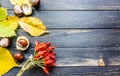 Autumn decoration flat lay Royalty Free Stock Photo