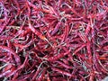 Dried Red Chillies Background Royalty Free Stock Photo