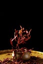 Dried Red Chillies. Royalty Free Stock Photo