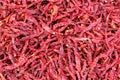 Dried red chillies Royalty Free Stock Photo