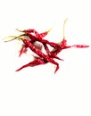 Dried red chili isolated on a white background Royalty Free Stock Photo