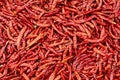 Dried red chillis kept for drying Royalty Free Stock Photo