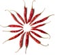 Dried Red Chilly or Chill  isolated on the white background Royalty Free Stock Photo