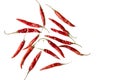 Dried Red Chilly or Chill  isolated on the white background Royalty Free Stock Photo