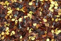 Dried Red Chilly Flakes Royalty Free Stock Photo