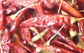 Dried red chilly Royalty Free Stock Photo