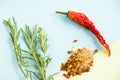 Dried red chilly pepper and rosemary on the colorful background Royalty Free Stock Photo