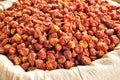 Dried red chilly peppers Royalty Free Stock Photo