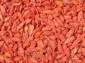 Dried red Goji berry, Wolfberry fruit Lycium barbarum used in