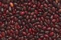 Dried red haricot beans as a background. Top view. Royalty Free Stock Photo